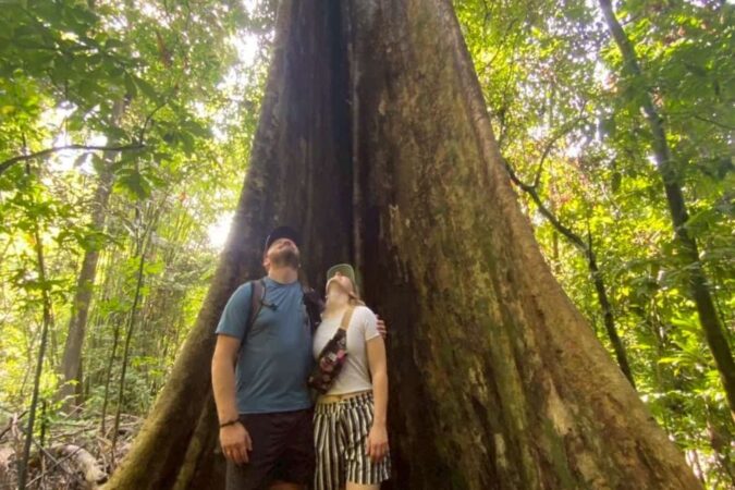 Un couple de randonneurs admire un arbre géant dans la jungle luxuriante environnant le Lac de Cheow Lan.